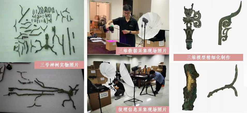 数字文博（三星堆三号神树虚拟修复）