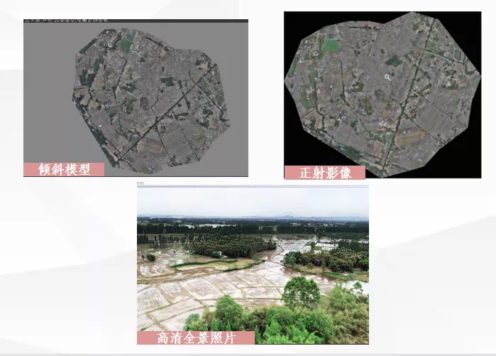 遗址数字化（成都片区遗址数字化）
