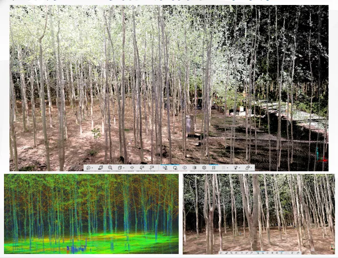 农林调查（奥森公园树木三维采集）